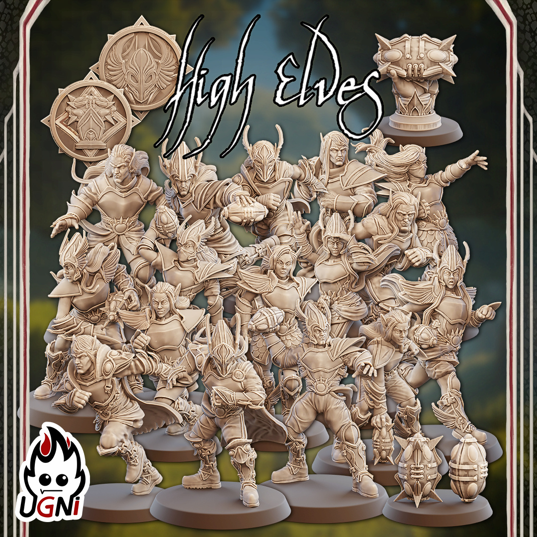 High Elves  -Team UGNI Full Team (High Elves)